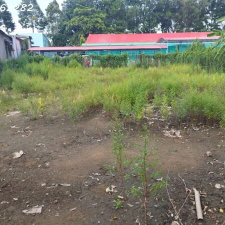 Bán Đất Thổ Cư Mặt Tiền Gần Chợ – Tân Khánh Đông, Sa Đéc, 547m2, Giá 2.6 Tỷ Bán Đất Thổ Cư Mặt Tiền Gần Chợ – Tân Khánh Đông, Sa Đéc, 547m2, Giá 2.6 Tỷ