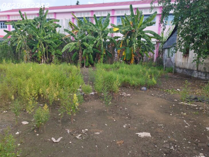 Bán Đất Thổ Cư Mặt Tiền Gần Chợ – Tân Khánh Đông, Sa Đéc, 547m2, Giá 2.6 Tỷ