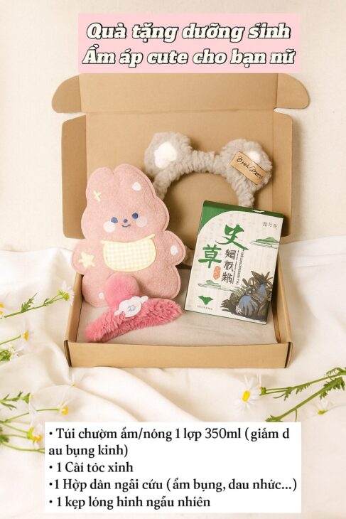 Quà tặng Vừa tâm lý vừa xinh túi chườm ấm bụng kèm phụ kiện cho nàng