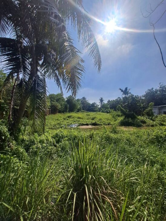 Bán đất HNK – Lô Góc – Mặt Tiền – Thạnh Xuân 52- 3600m2- SHR , giá 40 tỷ