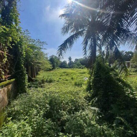 Bán đất HNK – Lô Góc – Mặt Tiền – Thạnh Xuân 52- 3600m2- SHR , giá 40 tỷ