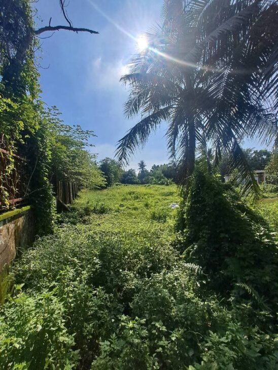 Bán đất HNK – Lô Góc – Mặt Tiền – Thạnh Xuân 52- 3600m2- SHR , giá 40 tỷ