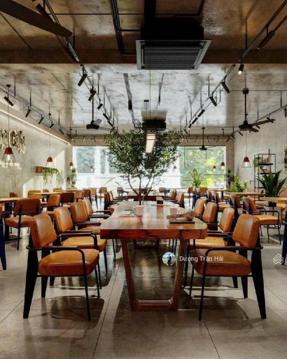 Bán nhà phố Láng Hạ – 130m2 x MT 7m – Lô góc 3 thoáng Vỉa hè rộng KDVP – Ô tô dừng đỗ