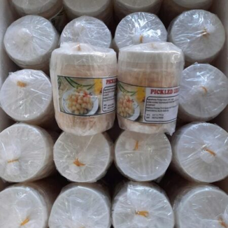 ✈️ MÙA LỄ HỘI CẬN KỀ – LONG HƯNG PHÁT EXPRESS TĂNG CHUYẾN QUỐC TẾ!