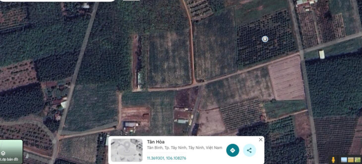 Bán Gấp Lô Đất Đẹp Giá Tốt DT 3.700m² Tại Tân Hòa, Tân Bình, TP. Tây Ninh