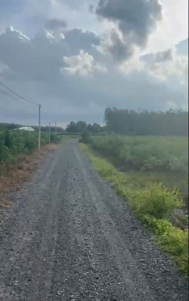 Bán Gấp Lô Đất Đẹp Giá Tốt DT 3.700m² Tại Tân Hòa, Tân Bình, TP. Tây Ninh