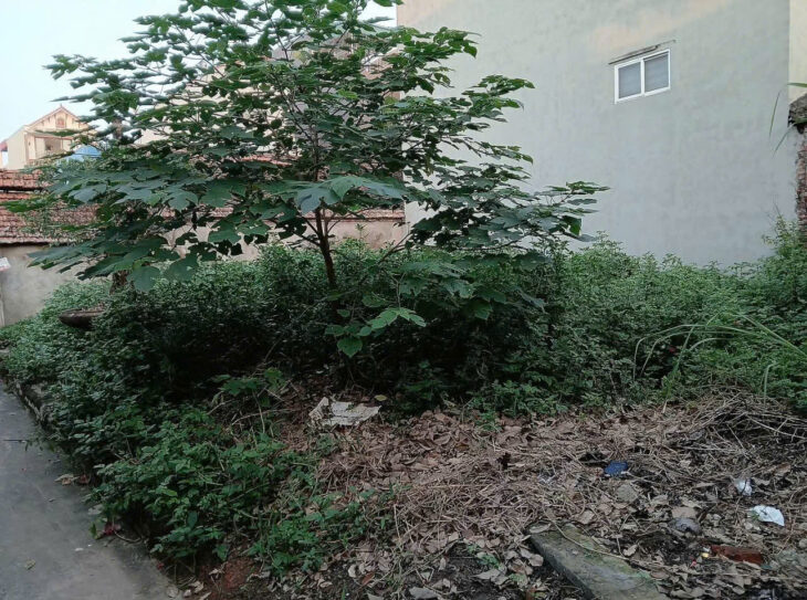 CC EM CẦN TIỀN MUỐN LÔ ĐẤT Ở HIỆP THẬN PHÚC THỌ. DIỆN TÍCH 42M – MẶT -HẬU 4M NHƯ NHAU, CÁCH ĐƯỜNG