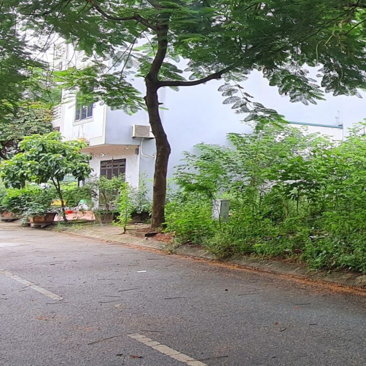 🎯 💰 Đất Thuận An 80m2 Mặt Tiền 7m Trục Chính KD Tốt Sổ Đỏ Trao Tay Chỉ 7 Tỷ X Lh 0989894845🔑