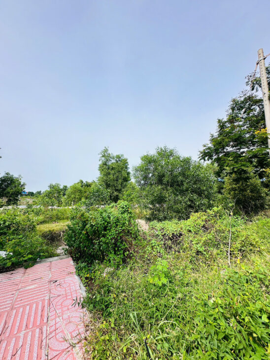 Bán đất ODT Mặt tiền Lê Minh Công – Phước Lộc – LaGI giảm 40% chỉ 1.7 tỷ