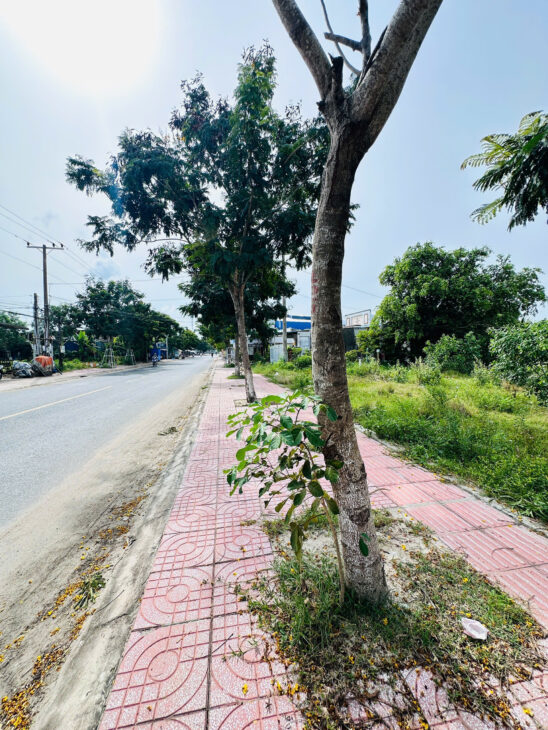 Bán đất ODT Mặt tiền Lê Minh Công – Phước Lộc – LaGI giảm 40% chỉ 1.7 tỷ