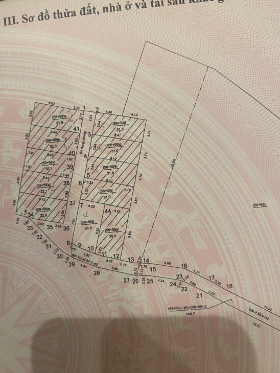 🏡 BÁN LÔ GÓC ĐẸP TẠI ĐÔNG DƯ – GIA LÂM, GIÁ CHỈ 3.X TỶ 🏡