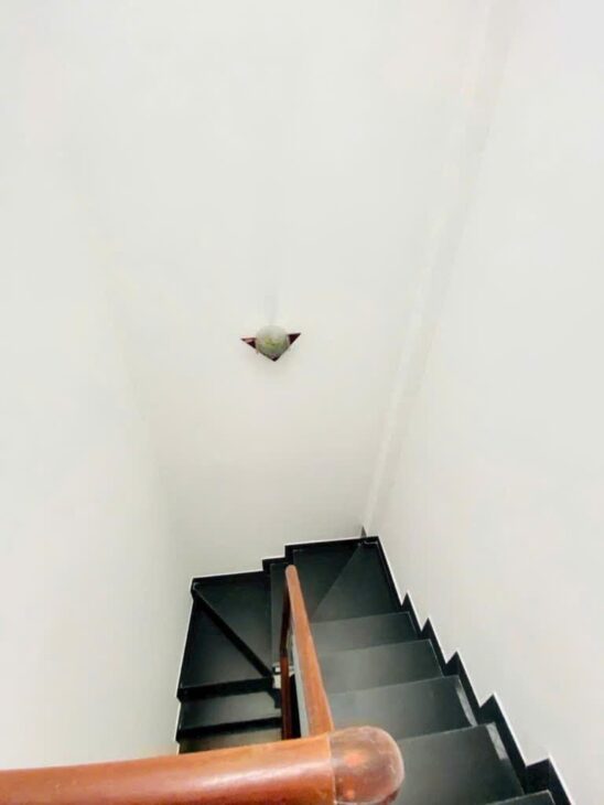 SỐNG Ở NGUYỄN VĂN CỪ – ĐẶC QUYỀN CỦA NGƯỜI HIỂU GIÁ TRỊ TRUNG TÂM