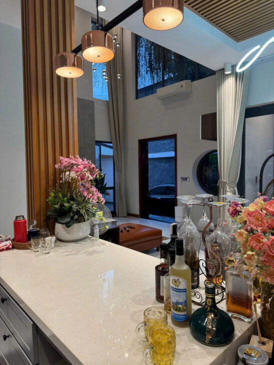 BIỆT THỰ MINI (303M²) SIÊU ĐẸP CÓ HỒ BƠI & SÂN VƯỜN MT THỚI TAM THÔN 14, HÓC MÔN