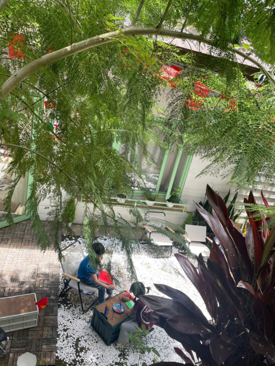 Cho thuê homestay Hàn Thuyên Phường 5 Đà Lạt giá 11tr