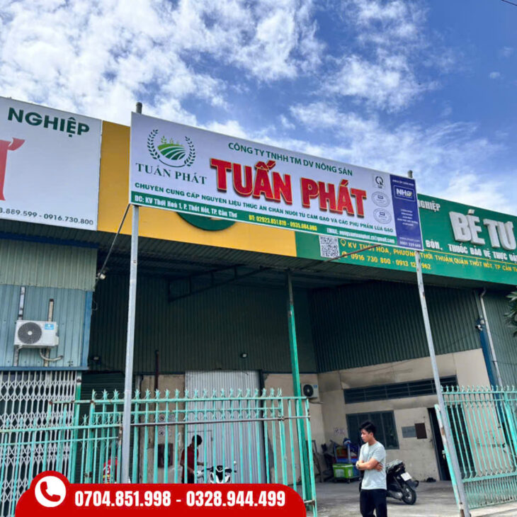 thiết kế in ấn thi công sự kiện