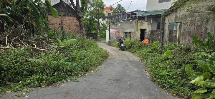 Bán đất đường Phú Mỹ, phường Biên Giang, quận Hà Đông (nay là phường Chương Mỹ), Hà Nội.