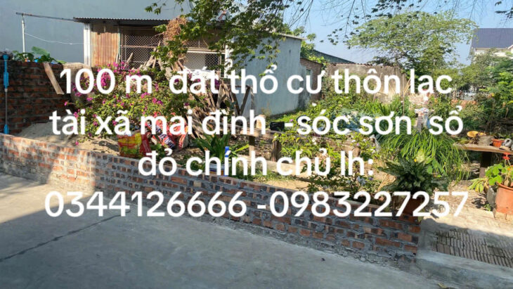 CHÍNH CHỦ CẦN BÁN 100M² ĐẤT Ở THỔ CƯ – THÔN LẠC TÀI, XÃ MAI ĐÌNH, HUYỆN SÓC SƠN, HÀ NỘI