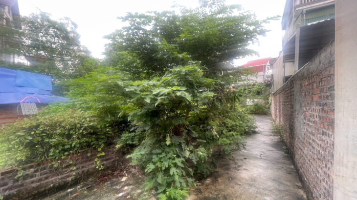 Chính chủ bán 43.8 m2 Trâu Quỳ, ô tô đỗ cửa, giá 7.5 tỷ – Lh 0985865658