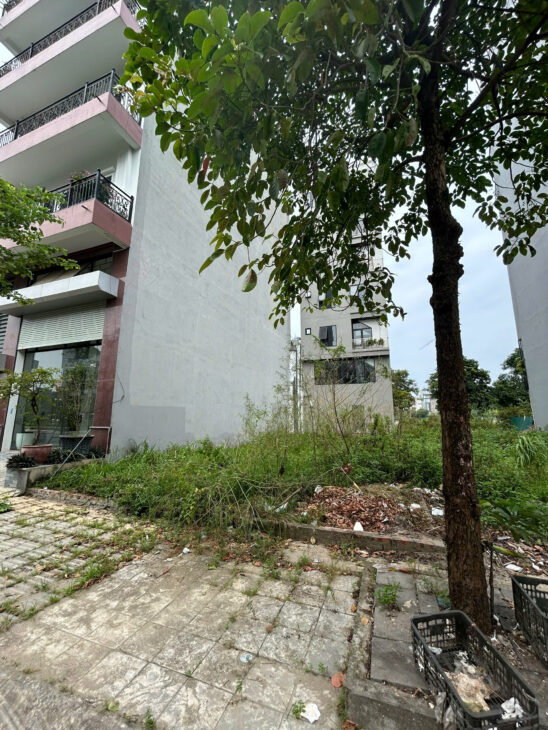 114,9m n3-21 khu vườn đào