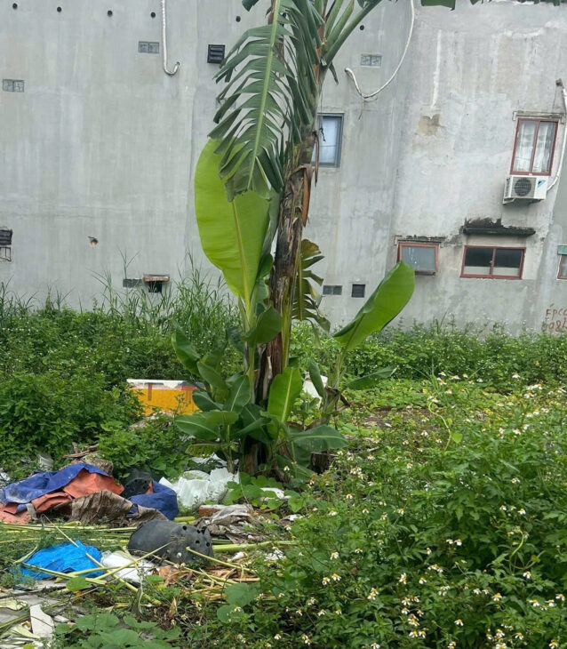 ❤️BÁN ĐẤT THỔ CƯ GẦN 140 m2 NGAY CHỢ CẦU ĐỒNG NGÃ 4 GA Q.12 SÁT GÒ VẤP – HẺM XE HƠI 6M- CHỈ 6.X TỶ!