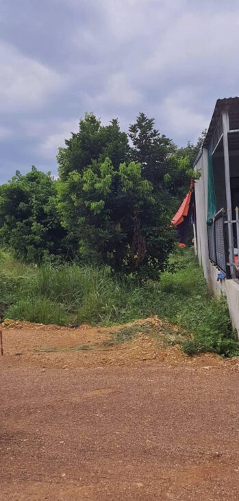 BÁN ĐẤT NÔNG NGHIỆP TẠI THÔN 10, XÃ LONG BÌNH, HUYỆN PHÚ RIỀNG,BÌNH PHƯỚC