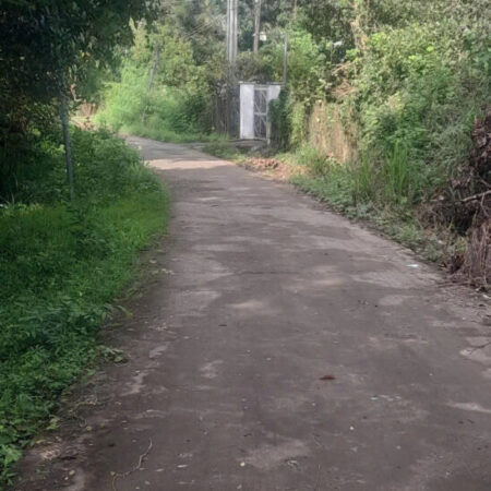 BÁN ĐẤT PHÚ LONG – VỊ TRÍ ĐẸP, GIÁ RẺ CHỈ HƠN 1 TỶ- BÌNH LONG – BÌNH PHƯỚC