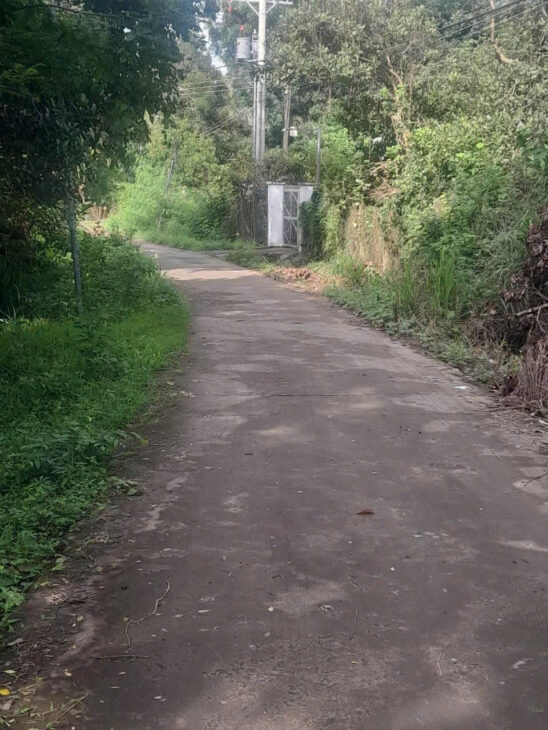 BÁN ĐẤT PHÚ LONG – VỊ TRÍ ĐẸP, GIÁ RẺ CHỈ HƠN 1 TỶ- BÌNH LONG – BÌNH PHƯỚC