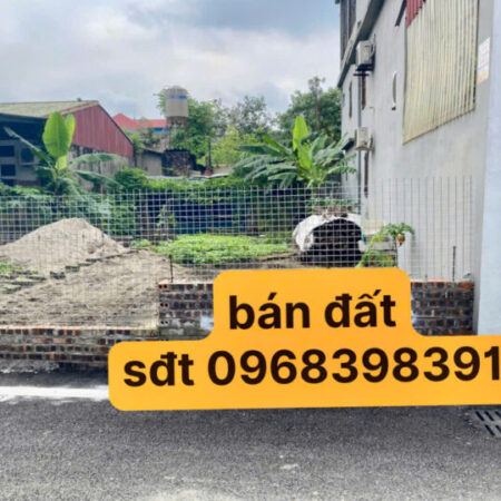 CHÍNH CHỦ CẦN BÁN Ô ĐẤT ĐẸP TẠI LÂM THAO – PHÚ THỌ