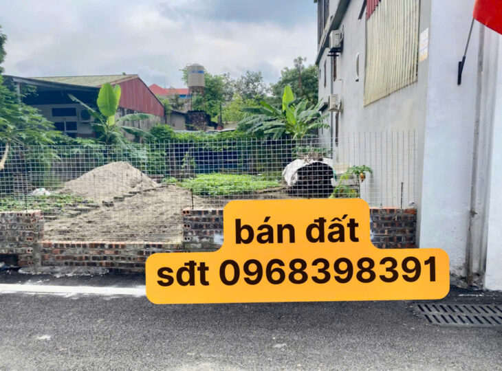 CHÍNH CHỦ CẦN BÁN Ô ĐẤT ĐẸP TẠI LÂM THAO – PHÚ THỌ