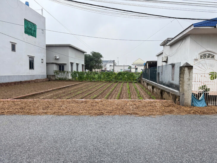 Chính chủ bán 130m2 mặt tiền 8m gần KCN Vsip và gần dự án Flamingo Quất lâm