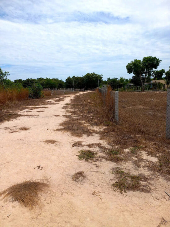 ĐẤT ĐẸP – GIÁ TỐT – CHÍNH CHỦ CẦN BÁN 2 LÔ ĐẤT TẠI XÃ TÂN BÌNH VÀ XÃ PHƯỚC TIẾN – Tx La Gi