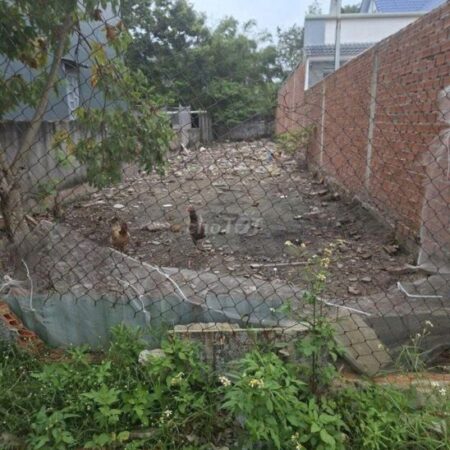 Bán ĐẤT CHÍNH CHỦ – GIÁ TỐT – Ấp Mới 1 , Xã Mỹ Hạnh Nam, Huyện Đức Hòa, Long An