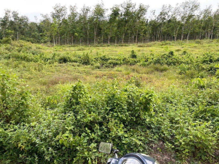 BÁN ĐẤT- XÃ ĐỊNH THÀNH – HUYỆN DẦU TIẾNG, BÌNH DƯƠNG