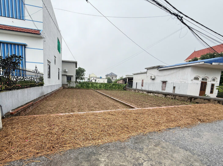 Chính chủ bán đất Quất lâm 100m2 mặt tiền 7m nhỉnh 1 tỷ gần flamingo