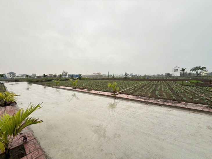 Chính chủ bán đất Quất lâm 100m2 mặt tiền 7m nhỉnh 1 tỷ gần flamingo