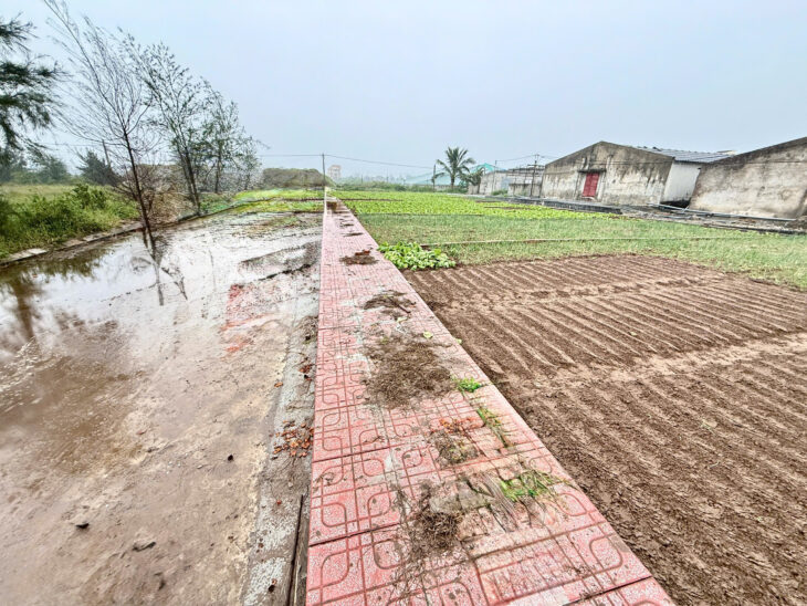 Chính chủ bán đất Quất lâm 100m2 mặt tiền 7m nhỉnh 1 tỷ gần flamingo