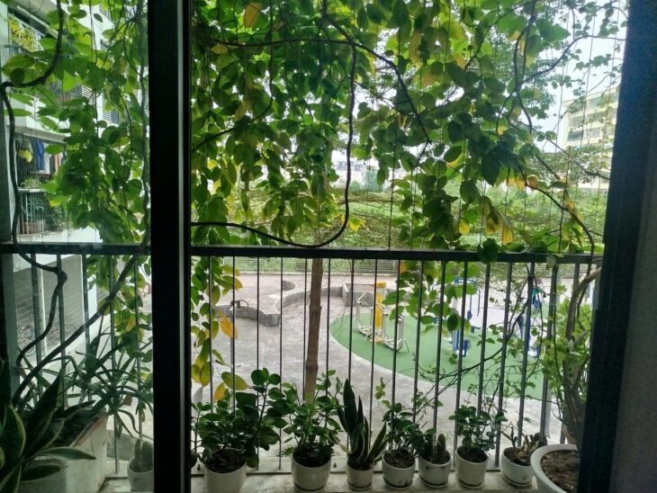 CĂN HỘ ĐẸP – GIÁ TỐT CHÍNH CHỦ CẦN BÁN NHANH CĂN Chung Cư NEWTATCO LAI XÁ, HOÀI ĐỨC