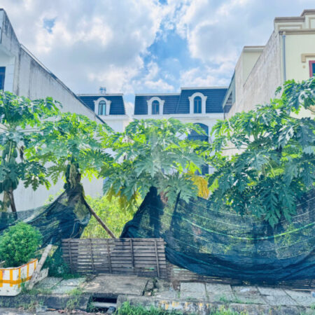 CHÍNH CHỦ BÁN LÔ ĐẤT ĐẸP TẠI CHUNG CƯ TDP LƯƠNG QUÁN-AN DƯƠNG, HẢI PHÒNG