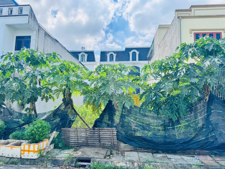 CHÍNH CHỦ BÁN LÔ ĐẤT ĐẸP TẠI CHUNG CƯ TDP LƯƠNG QUÁN-AN DƯƠNG, HẢI PHÒNG