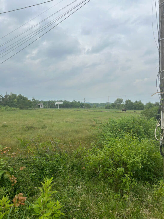 Bán 10m x 26m đất hẻm Nguyễn Thông- Tân Bình – LaGi giá ngộp 1.5 tỷ