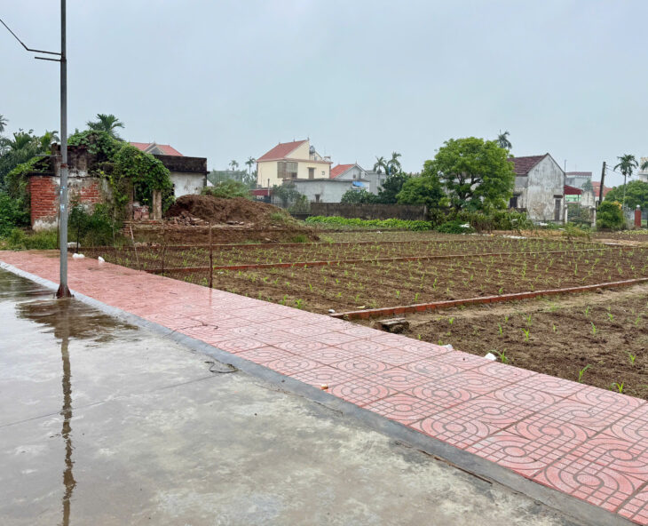 Bán 200m2 đất quất lâm mặt tiền 7m ô tô đỗ gần Flamingo và vsip hải long 1.100 ha