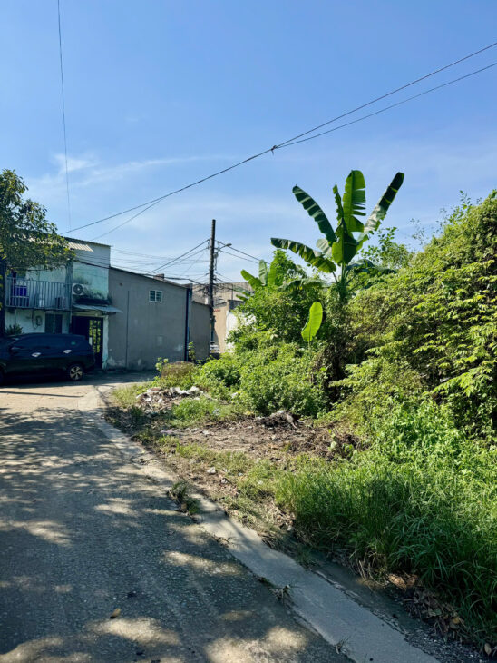 BÁN ĐẤT SHR ĐÔNG THẠNH HÓC MÔN 5,3x22m ĐƯỜNG 7M GẦN TRỊNH THỊ DỐI GIÁ CHỈ 3,45 TỶ