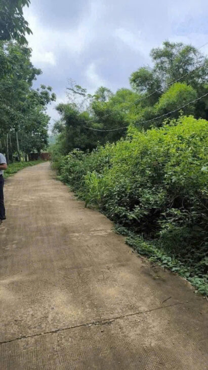 CẦN BÁN 5 SÀO ĐẤT XÃ PHƯỚC AN – HỚN QUẢN – BÌNH PHƯỚC