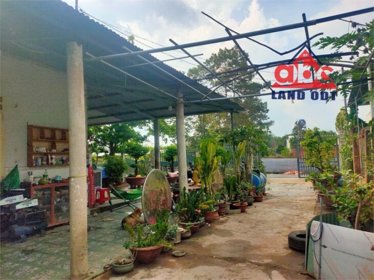 NP1047 bán gấp nhà vườn, cạnh KCN thích hợp ở và xây thêm nhà cho thuê