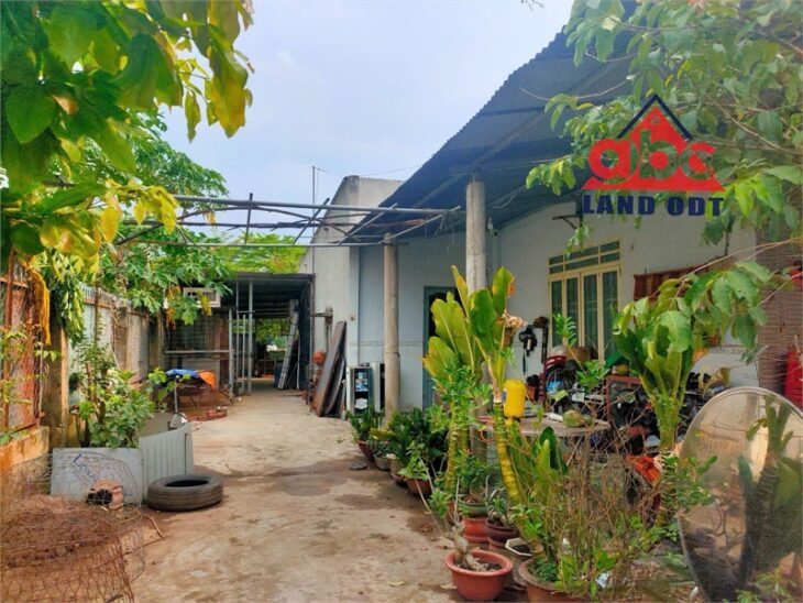 NP1047 bán gấp nhà vườn, cạnh KCN thích hợp ở và xây thêm nhà cho thuê