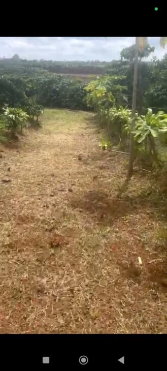 ĐẤT ĐẸP – GIÁ TỐT – CHÍNH CHỦ CẦN BÁN NHANH LÔ ĐẤT TẠI thôn 5 ,Tân Lâm, Di Linh, Lâm Đồng