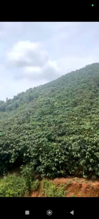 ĐẤT ĐẸP – GIÁ TỐT – CHÍNH CHỦ CẦN BÁN NHANH LÔ ĐẤT TẠI thôn 5 ,Tân Lâm, Di Linh, Lâm Đồng