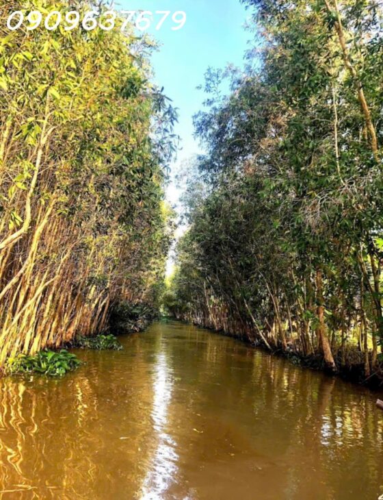 MỘT KHU DU LỊCH SINH THÁI LUNG TRÀM- CẦN THƠ HÀNG HIẾM CÓ -17.732M2