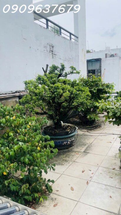 KHU HIẾM NHÀ BÁN – PHỔ QUANG – TÂN BÌNH- NHÀ CHÍNH CHỦ LÂU ĐỜI- GIÁ CHỈ 12.7 TỶ TL.