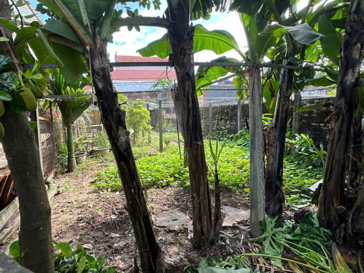 Bán đất cực đẹp Chương Dương, Thường Tín cạnh Vin Plympic